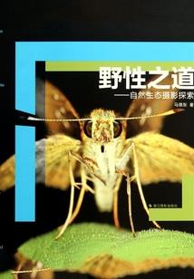 漫威：无限异能