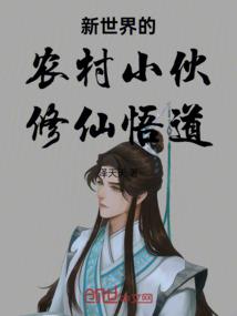 凤翱翔