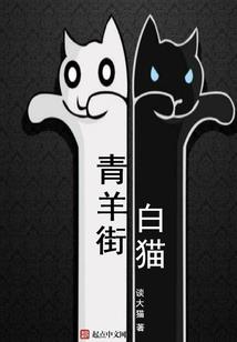 夏婷风起时