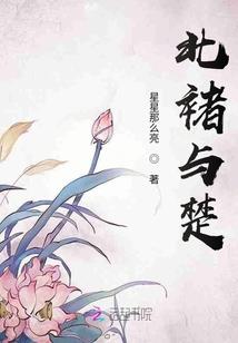 遗忘在尘埃的幸福