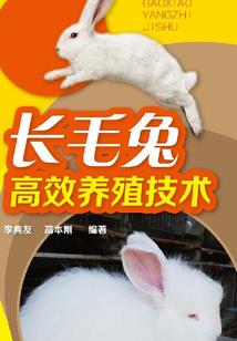 记寻星