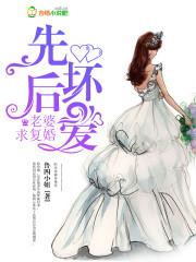 懒妻系列之当生米变成熟饭