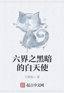 问情择心