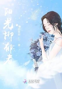 光明传奇