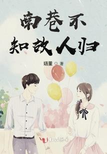非提斯