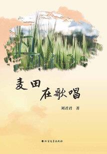 轮回局