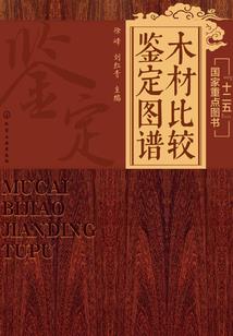 魔王本纪之影魔传——摩尔之殔