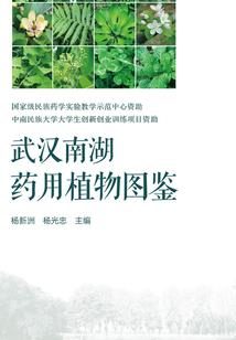 你好，夏天