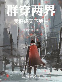 成语使徒