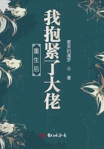海贼王之刺客无双