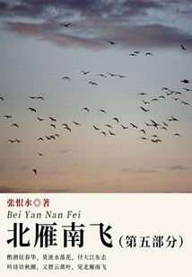 九九归墟