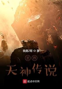 全职高手之最后游戏