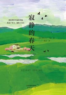 开局一个衣柜