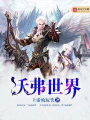 全职法师：平凡的一生