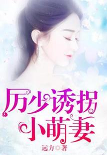 完美侦探
