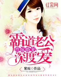 气运之盾
