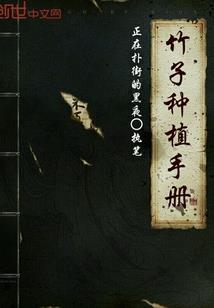 谋定西汉