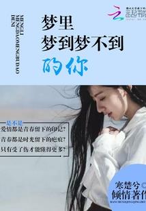 盗心传
