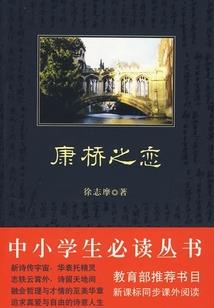 疯狂龙卷风