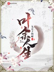 王朝少将传