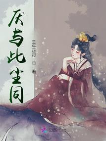 梦谜旅