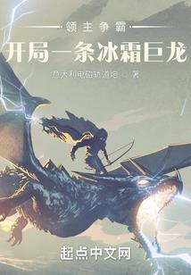 神奇宝贝之小焰的变强之路