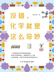 棋逢对手：陆总的南城妻