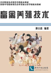 转生异世之圣落