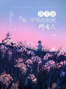 残羽魅影