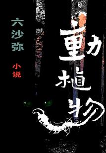 虚拟娱乐王国