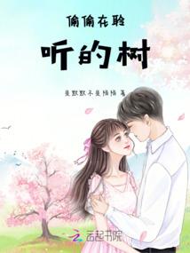 我有一家发电站