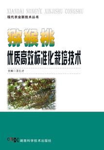 重塑仙道天庭