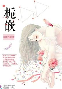 高维玩家