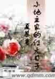 多个小事情