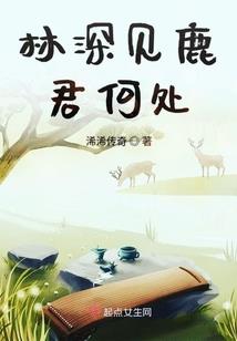 星河记事
