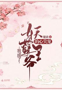 最强审美系统