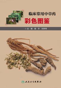 天罚世人