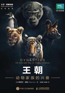 重生之模拟玄幻