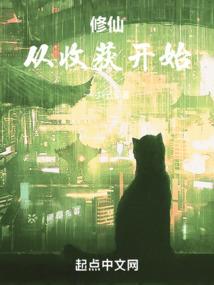 宫锁心玉续