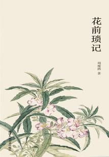 星星灿烂