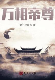 守护的黑白羽翼与王选之剑