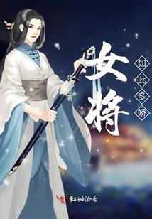 六锦宫灯记