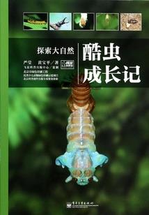 黑前白后