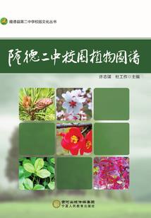 时间教会我们如何去爱