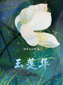 只当是邂逅