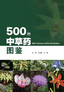 能量体在异界