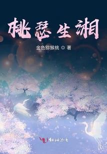次元之翳