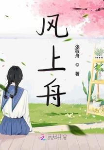 锦年什华