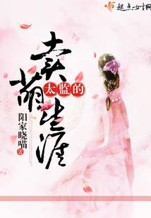 完美天域
