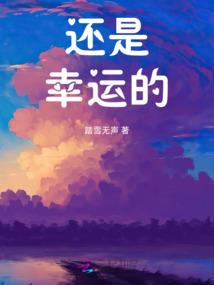 风云起月风霁：一剑一世情